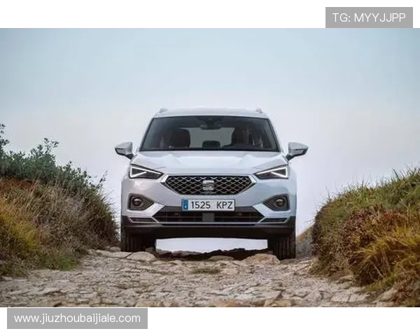 evo真人平台怎么样的技术保障和安全措施是否到位