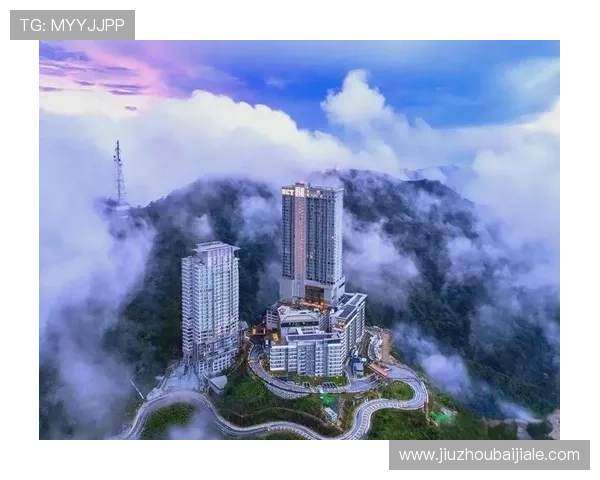 马来云顶集团应对行业挑战的策略与未来发展方向